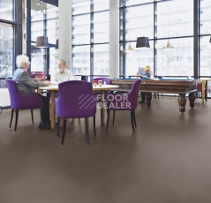 Forbo Marmoleum Decibel on Order 363235 sealion фото 3 | FLOORDEALER